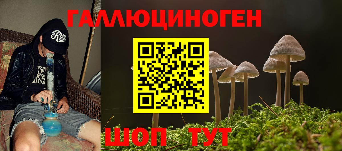 Псилоцибиновые грибы Psilocybine cubensis  Вход с VPN  Галлюциногенные грибы Psilocybine cubensis  Кореновск 