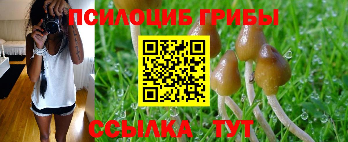 Галлюциногенные грибы GOLDEN TEACHER Кореновск
